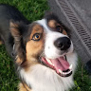 Meet your Posher, Annie